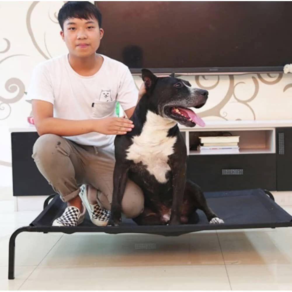 Cama Elevada Altura Para Mascota Perro Gato Talla L image number 2.0