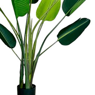 Planta Artificial Ave Del Paraiso 180 Cm. / 12 Hojas