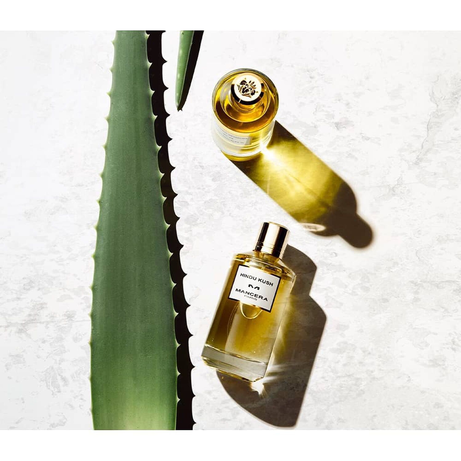 Mancera Hindu Kush 120 Ml Edp image number 1.0