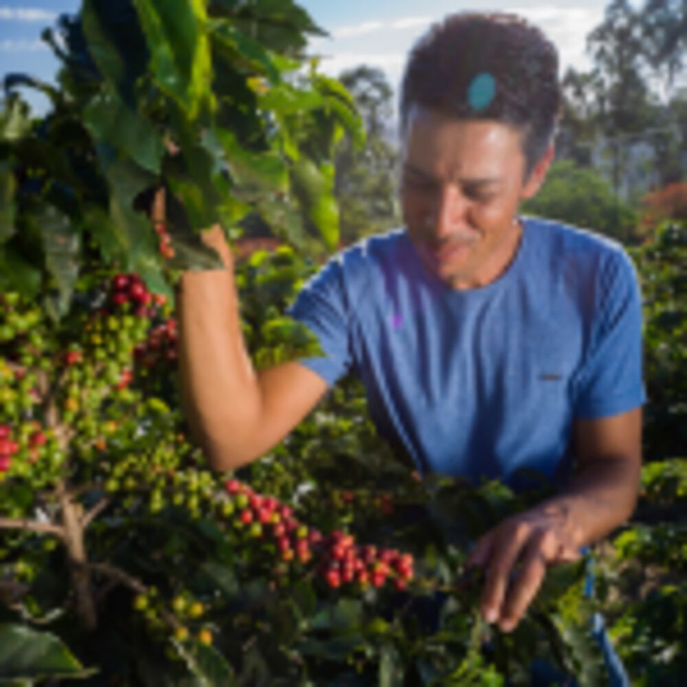 Cafe Molido Filtrado Nosso Cafe Justo Tropical Blend 250g image number 3.0
