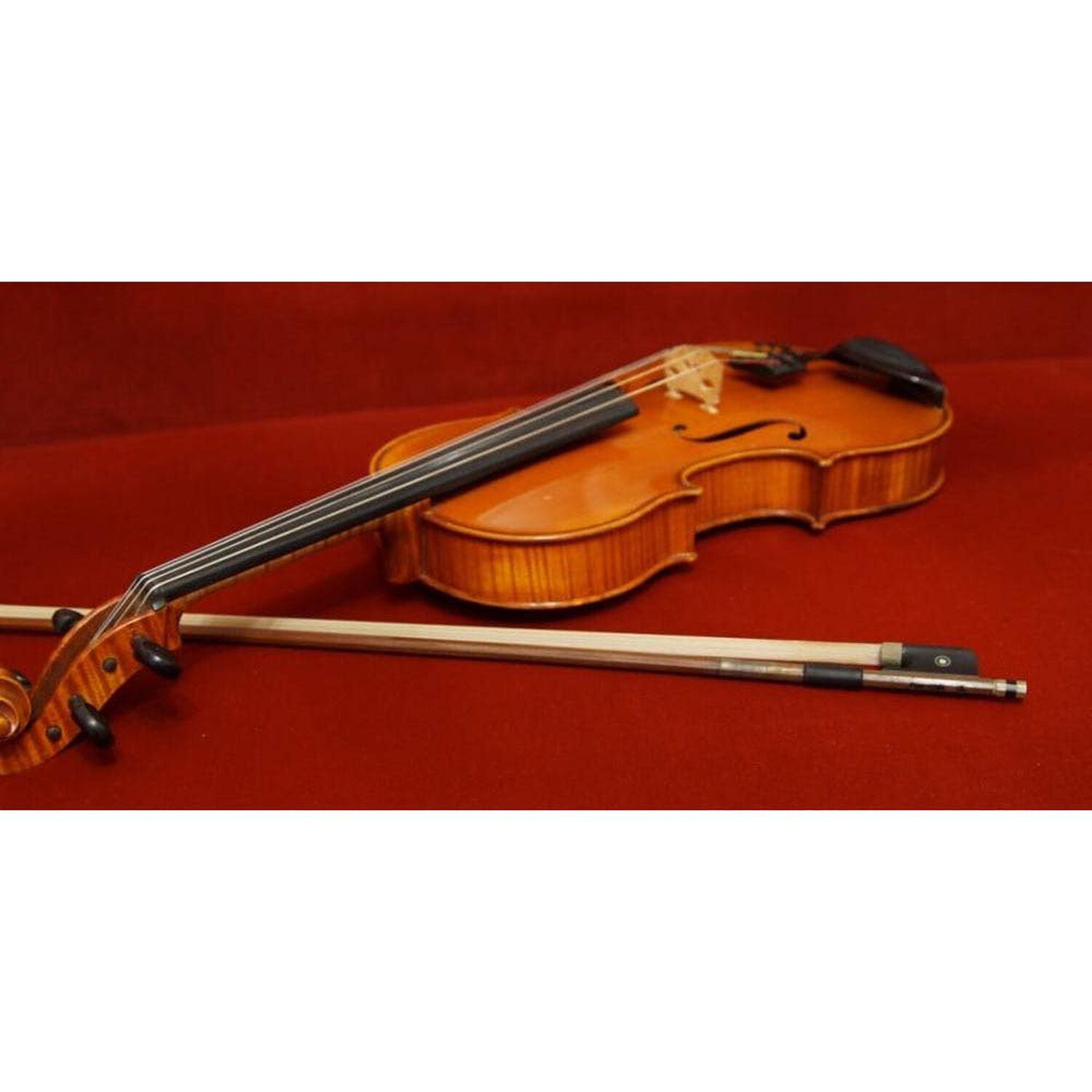Violin 44 Color Natural image number 3.0