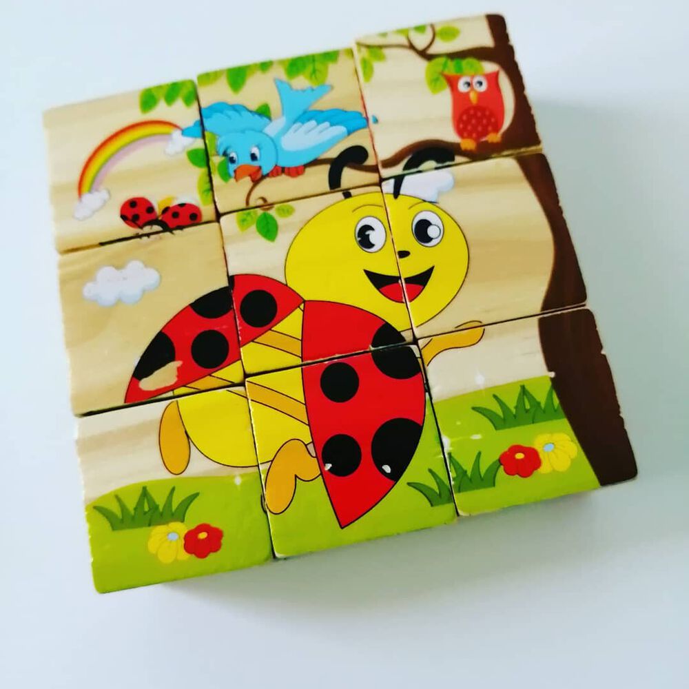 Cubos Rompecabezas Puzzles De Madera 6 Juegos En 1 Niños image number 5.0