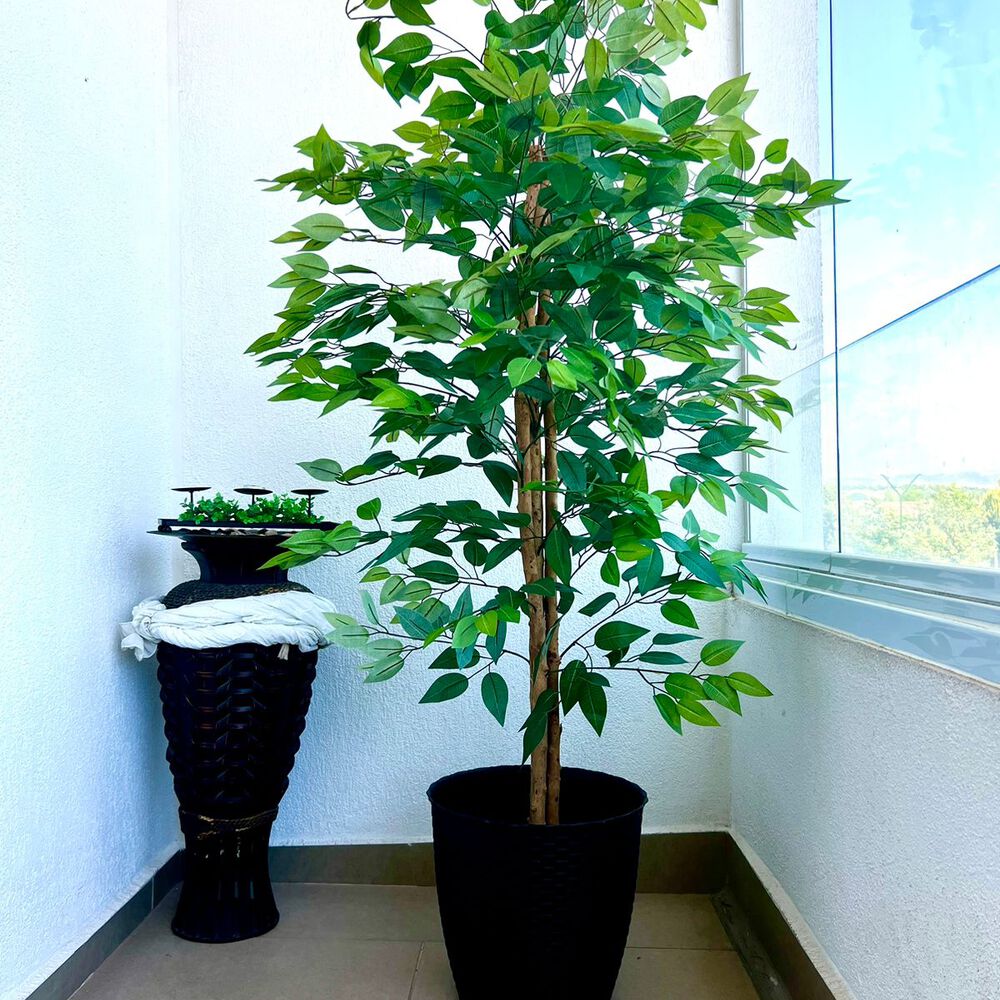 Planta Artificial Ficus Premium 160 Cm./ 1008 Hojas image number 3.0