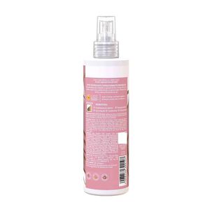 Spray Reparacion Meu Liso 240 Ml Salon Line
