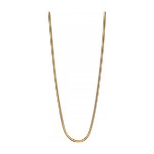 Collar Bering 424-20-500 Dorado