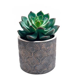 Maceta De Cemento Cobre/gris 11 Cm