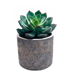 Maceta De Cemento Cobre/gris 11 Cm