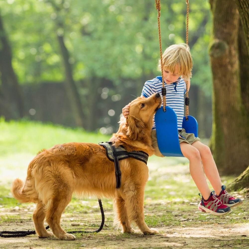 Columpio Azul Hobbymarket image number 2.0