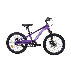 Bicicleta Totem Mtb Aro 20 Modelo Lyra Violeta