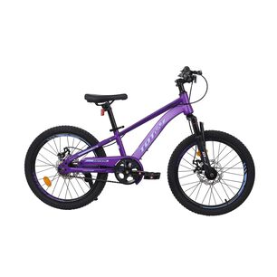 Bicicleta Totem Mtb Aro 20 Modelo Lyra Violeta
