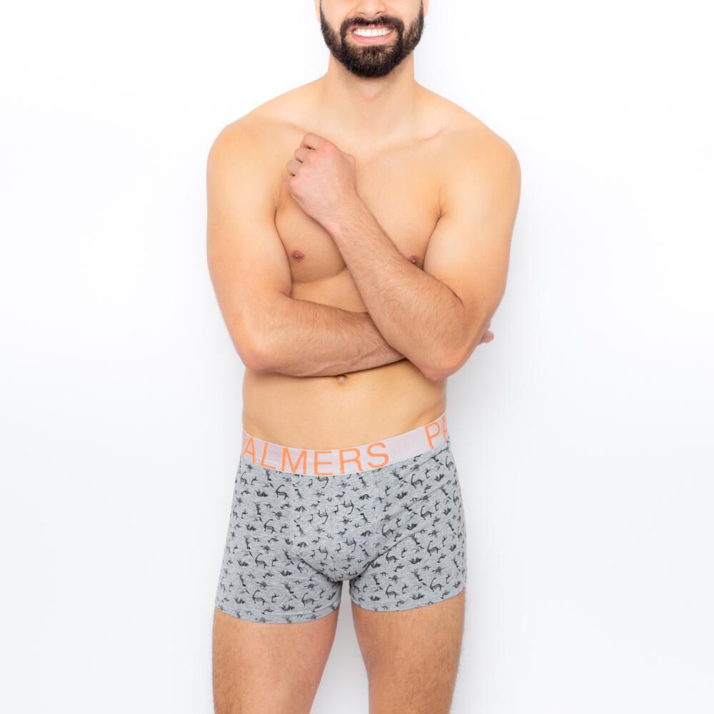 Pack Boxer Hombre Palmers / 5 Unidades image number 5.0