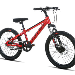 Bicicleta Totem Mtb Aro 20 Sunshine Color Rojo
