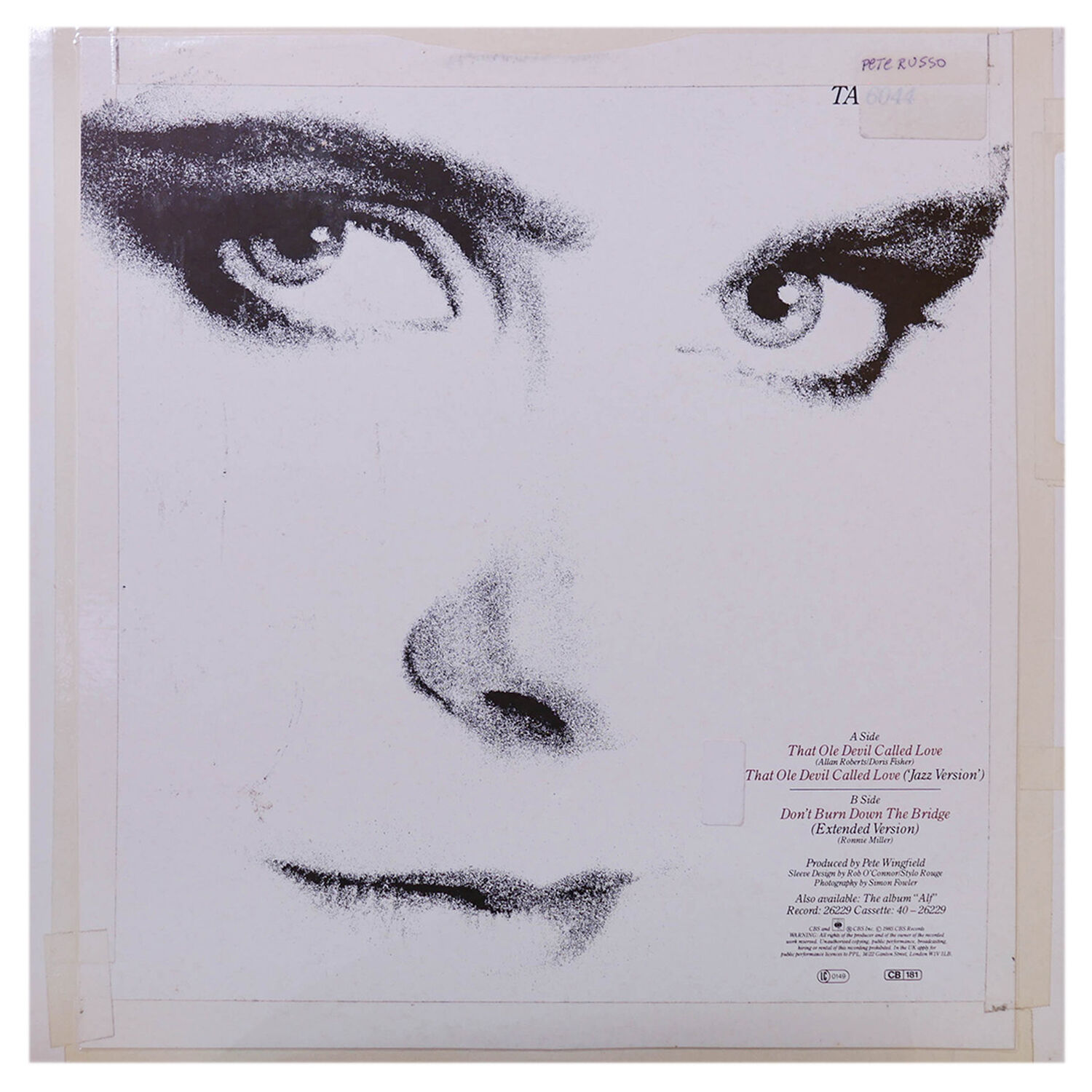 Alison Moyet - That Ole Devil Called Love (lp Versi&oacute;n + Jazz Version) | 12" Maxi Single Usado image number 1.0