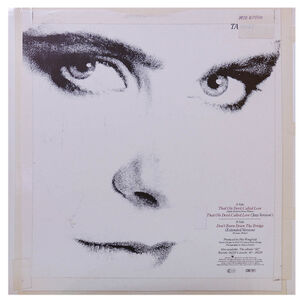 Alison Moyet - That Ole Devil Called Love (lp Versión + Jazz Version) | 12" Maxi Single Usado