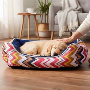 Cama Para Mascotas Espuma - Talla L (tricolor Rojo)