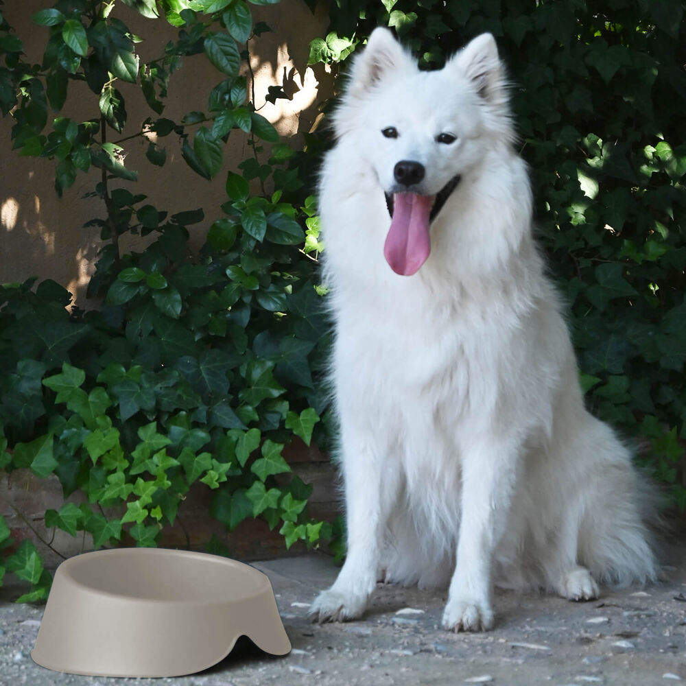 Plato Comedero Bebedero Para Mascota Beige 1 L Cool Pets image number 3.0