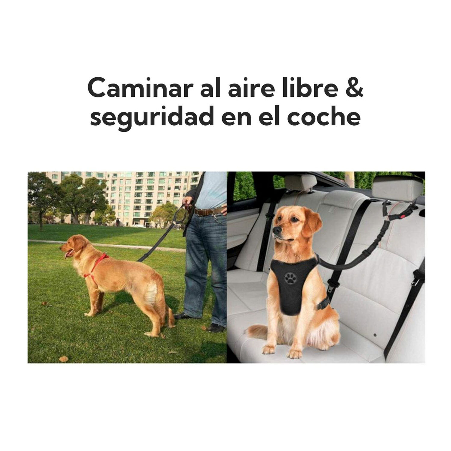 Correa Para Mascotas Pro Outdoor image number 1.0