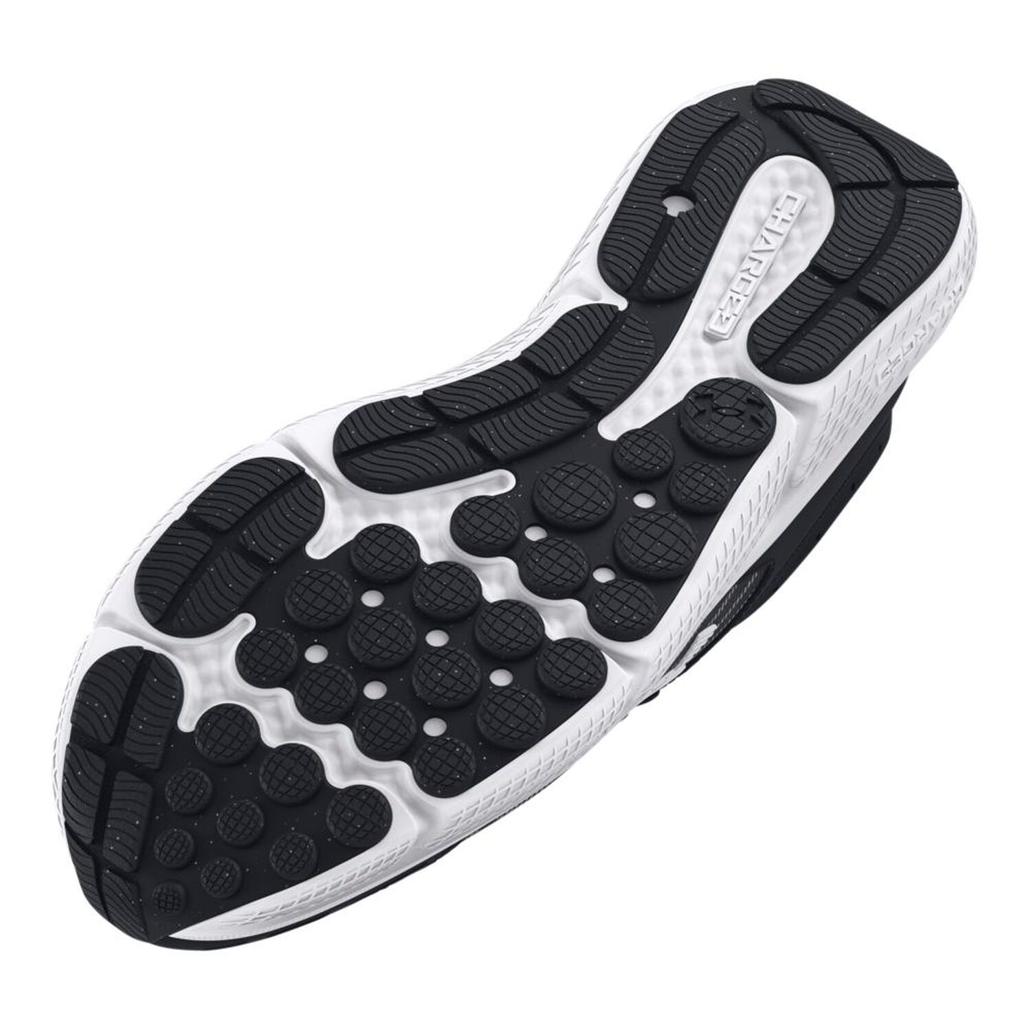 Zapatilla Running Hombre Under Armour Charged Assert 10 Negro image number 2.0