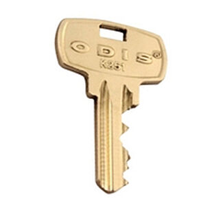 Paleta K253 Odis - 50 Unidades