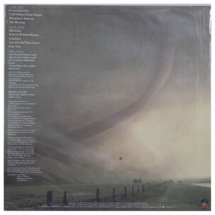 Call - Reconciled | Vinilo Usado