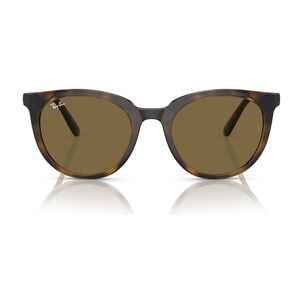 Lentes De Sol Dark Havana Ray-ban