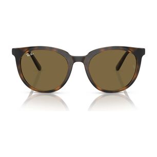 Lentes De Sol Dark Havana Ray-ban