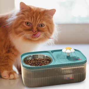 Fuente De Agua Bebedero 2 En 1 Eléctrico Para Gatos 3 Litros