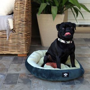 Cama Para Perro O Gato Palta Lovers Brnx