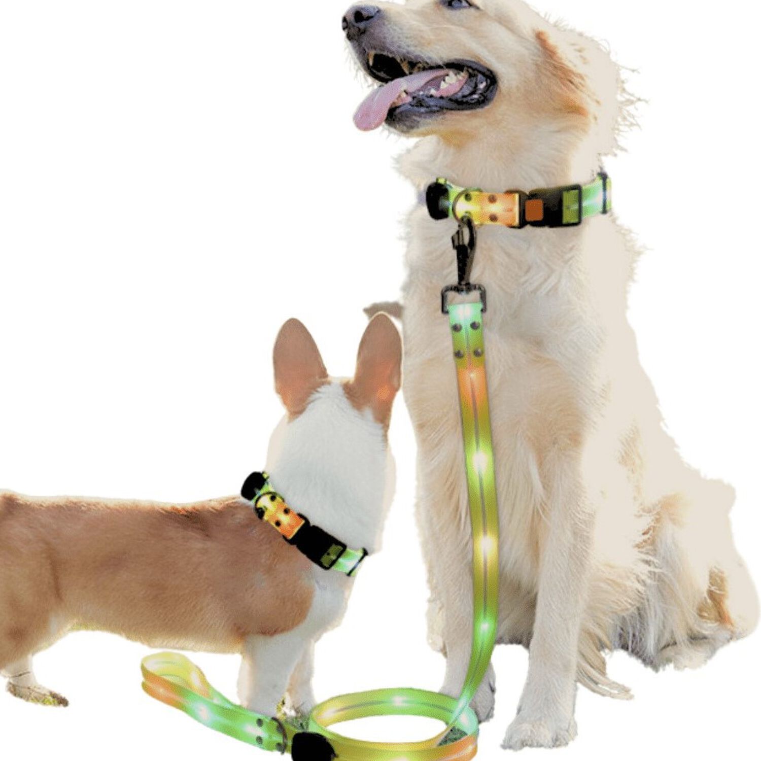 Correa + Collar Con Luces Led Impermeable image number 1.0