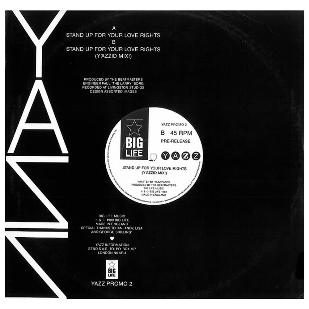 Yazz - Stand Up For Your Love Rights | 12" Maxi Single Usado image number 1.0