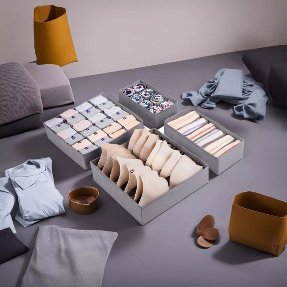 Pack 4 Organizadores Plegables Para Ropa Interior image number 1.0