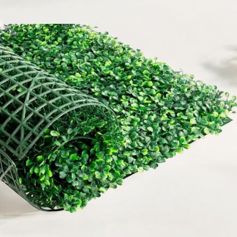 Pasto Para Decorasion image number 1.0