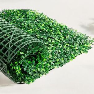 Pasto Para Decorasion