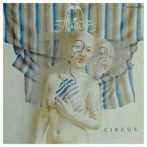 Flairck - Circus | Vinilo Usado