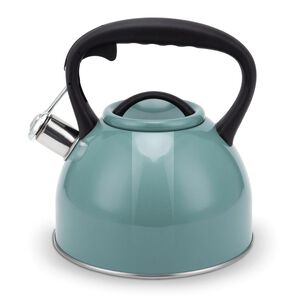 Tetera Acero Inoxidable Con Silbato Wens 3l Turquesa