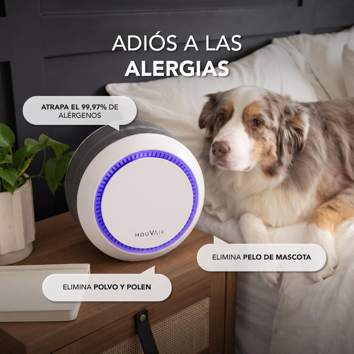 Purificador De Aire Mouvair Om Blanco image number 6.0