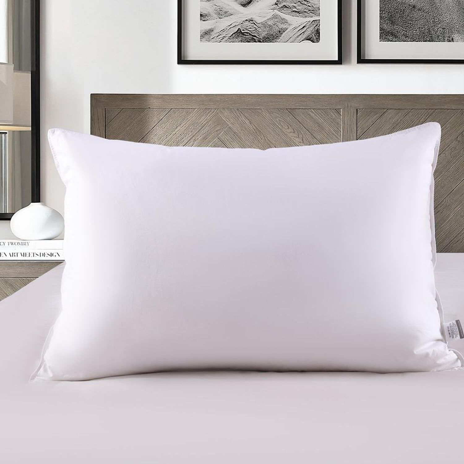 Almohada Illusions Pack 2 15% Plumas De Ganso 50x70 / 144 Hilos image number 1.0