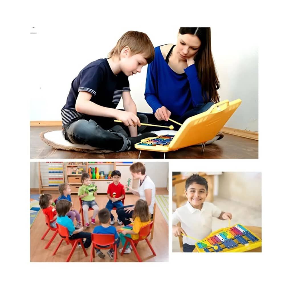 Metalofono 25 Notas Crom&aacute;tico image number 3.0