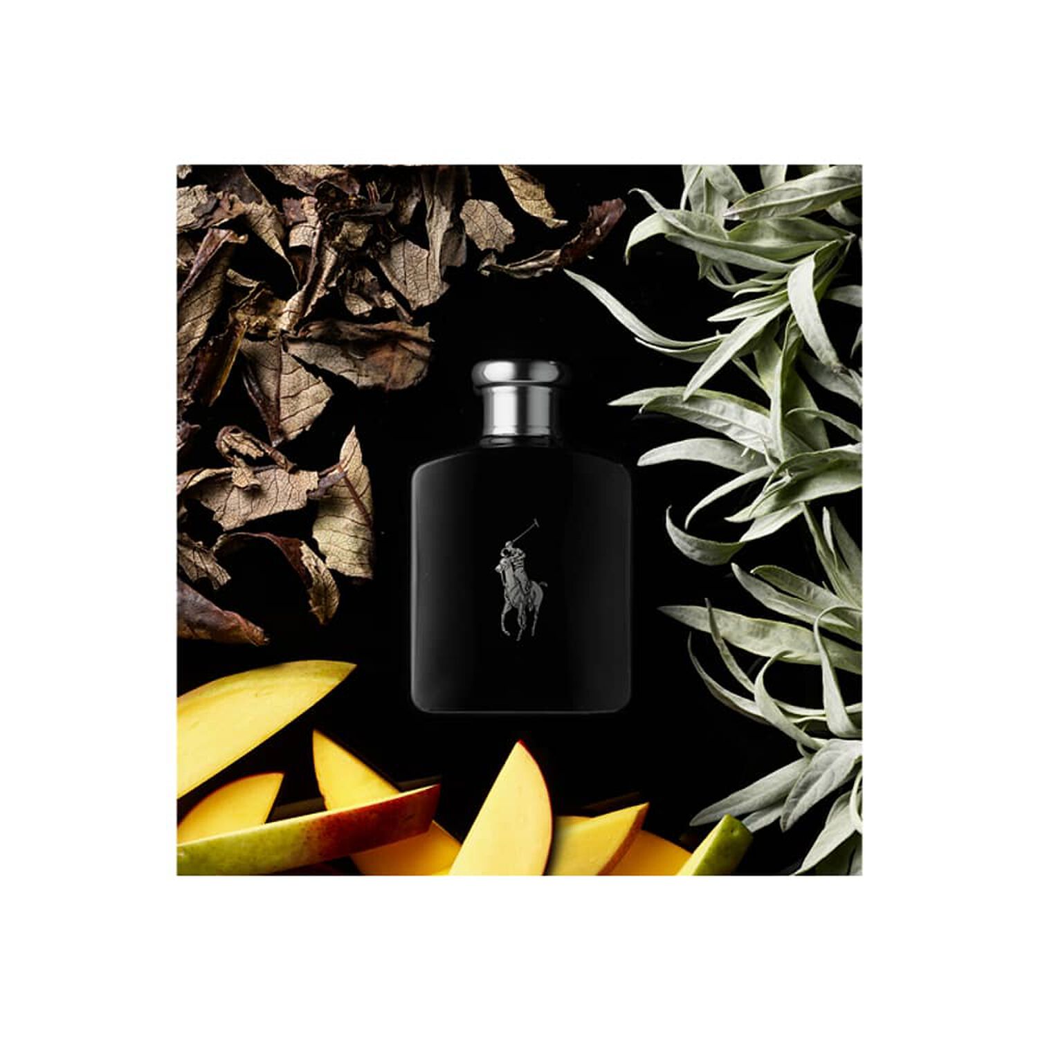 Polo Black 125 Ml Edt Ralph Lauren image number 2.0