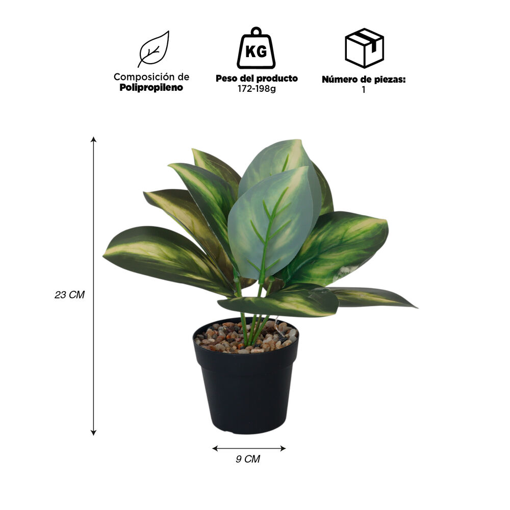 Planta Artificial Calathea 23x9 Cm image number 2.0