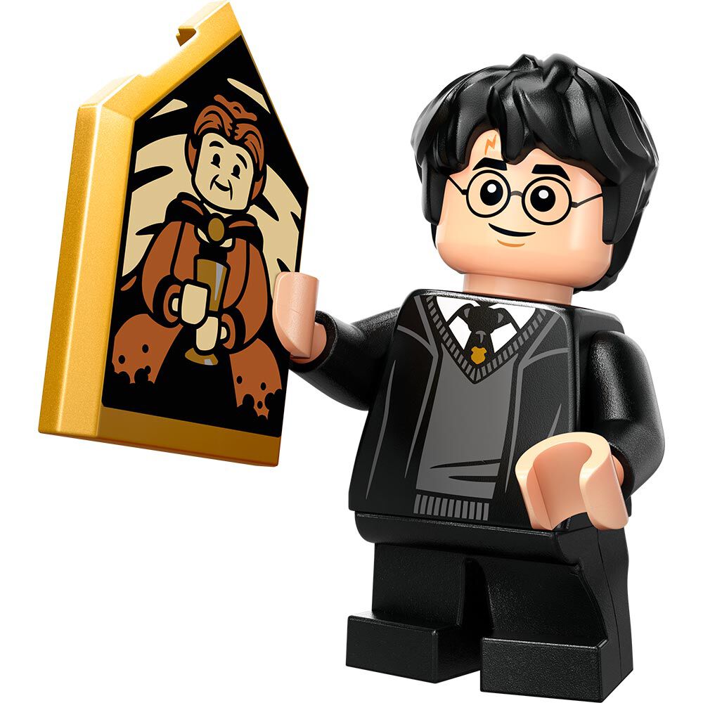 Lego Harry Potter Cobertizo Del Castillo De Hogwarts - 76426 image number 3.0
