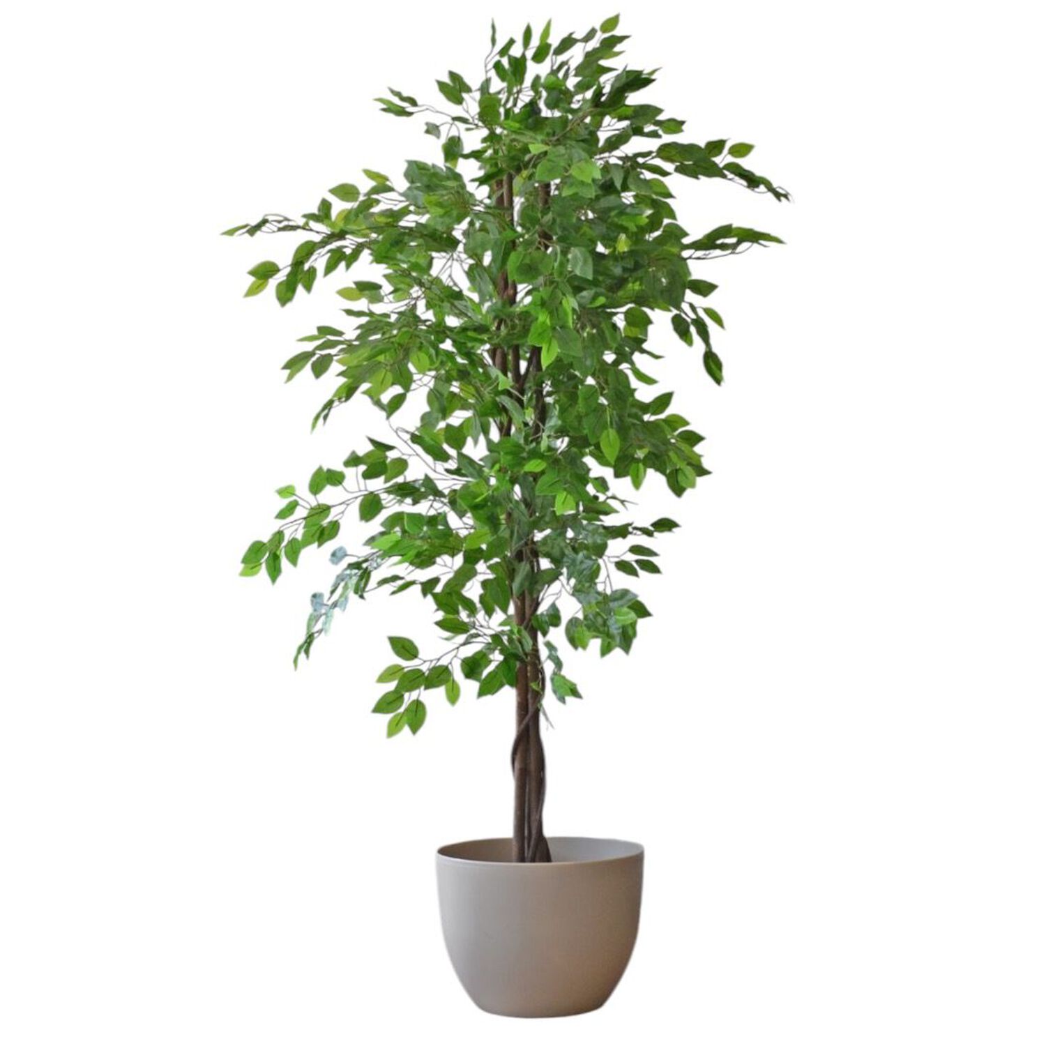 Planta Artificial Ficus Premium 180 Cm / 1288 Hojas / Arbusto Real image number 3.0