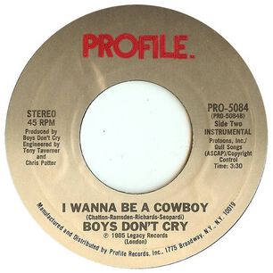 Boys Don't Cry - I Wanna Be A Cowboy | 7" Single Usado