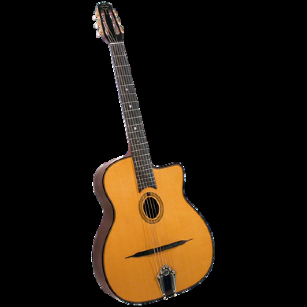 Guitarra Gypsy Jazz Profesional Gitane Dg-255 image number 0.0