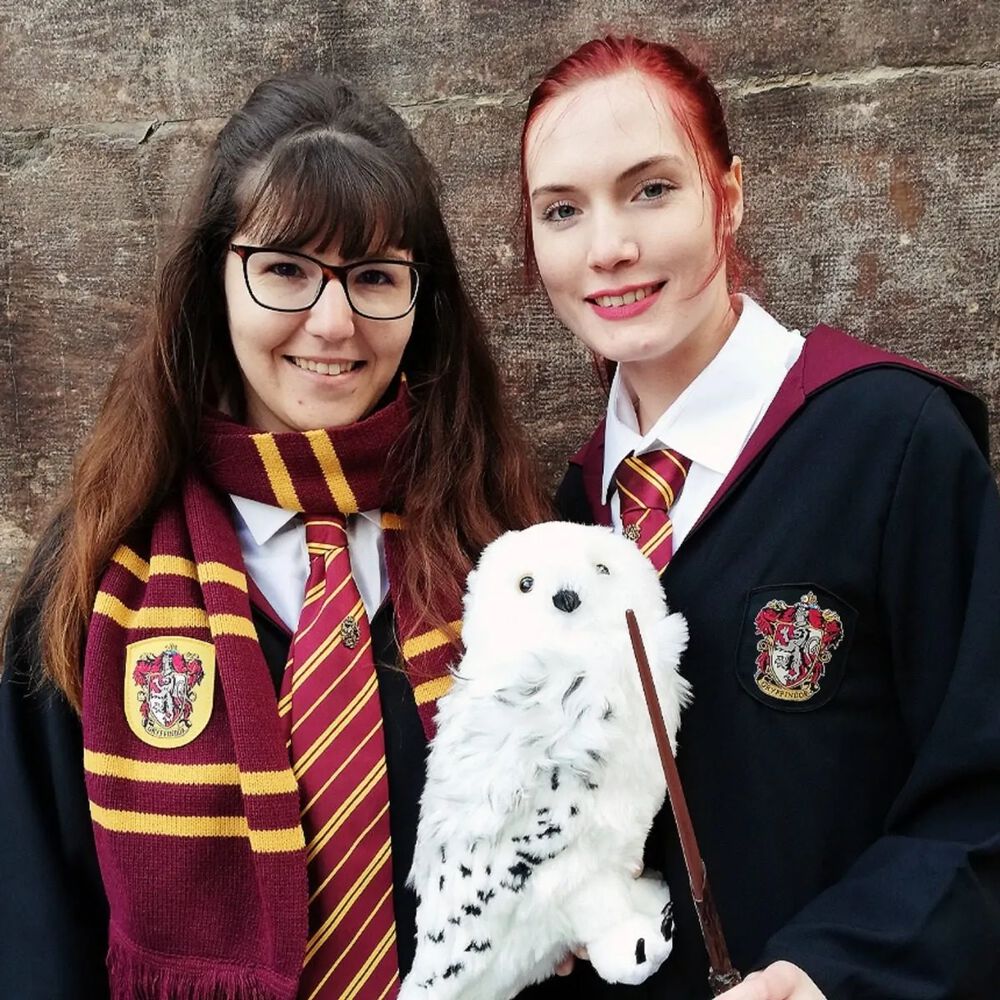 Tunica De Harry Potter Casa Hogwarts Deluxe Logo Bordado Gryffindor Slytherin Ravenclaw Hufflepuff image number 1.0