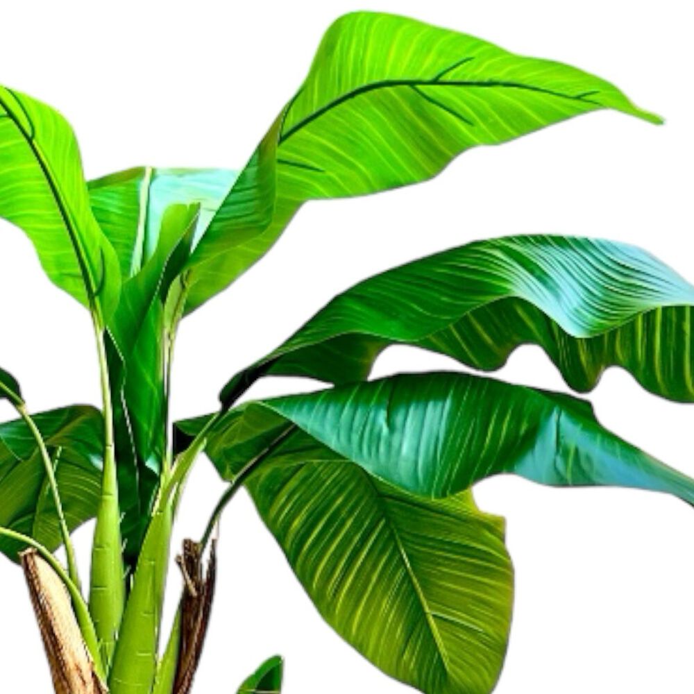Planta Artificial Banano Premium 160 Cm. / 15 Hojas image number 2.0
