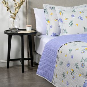 Quilt Cannon - American Family Nadine / 2 Plazas