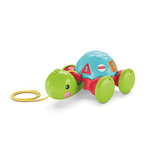 Tortuga De Aprendizaje Fisher Price