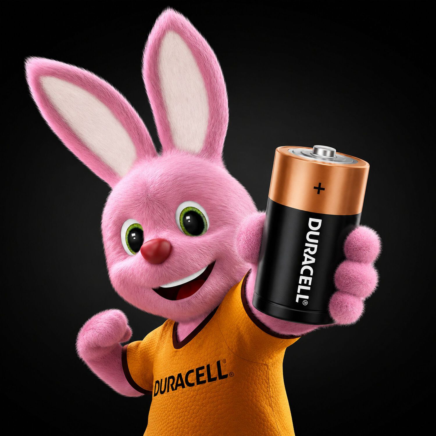 Pila Duracell D Alcalina Extra Duraci&oacute;n image number 6.0