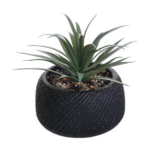 Planta Artificial Az Home / 17 Cm